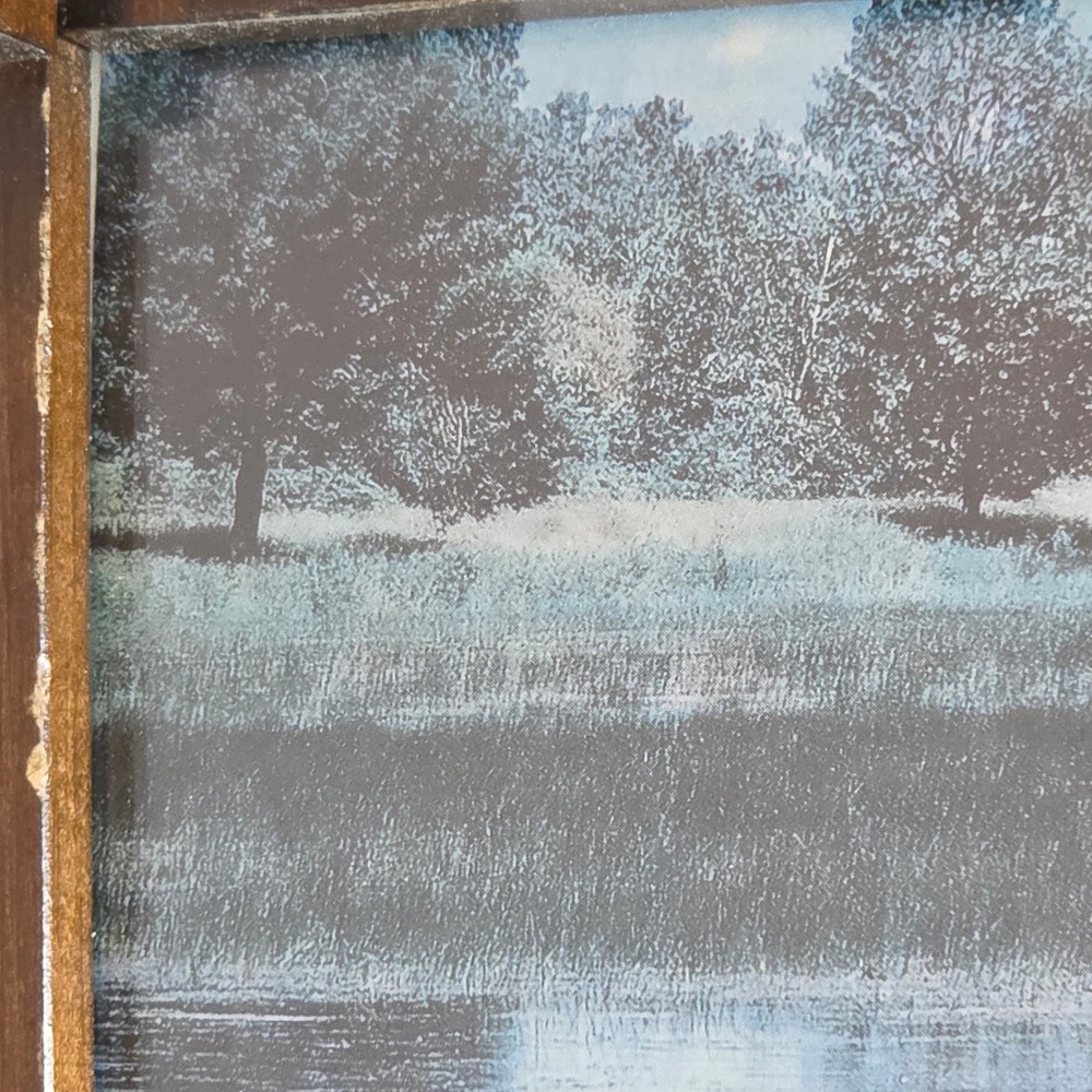Vintage Rustic Wood Wall Mirror Scenic Duck Nature Print Spindle Frame Rosettes - Picture 16 of 16